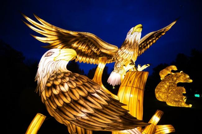 Wild Lanterns is back at Woodland Park Zoo and more accessible than